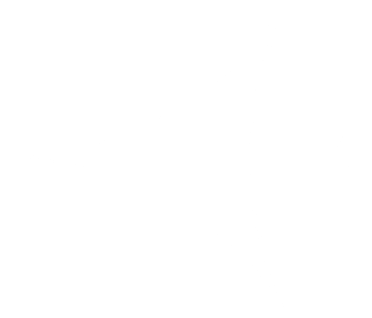 Starlandus
