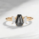 Crescent Moon - Classic Coffin Cut Salt & Pepper Diamond Three-Stone Engagement Ring with Half Moon Accents